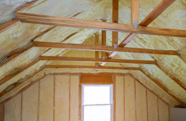 Best Commercial Insulation in Somerset, TX