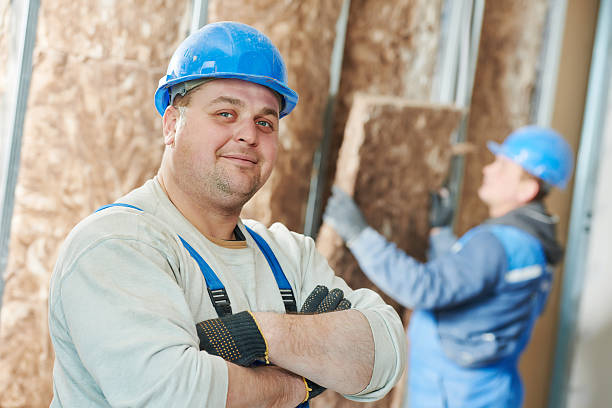 Best Insulation Maintenance and Repair in Somerset, TX