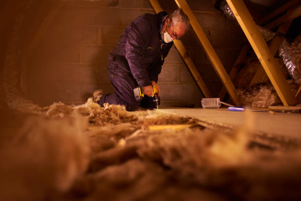 Best Residential Insulation in Somerset, TX